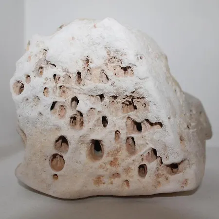 Bed & Breakfast Piazza Garibaldi Santeramo in Colle